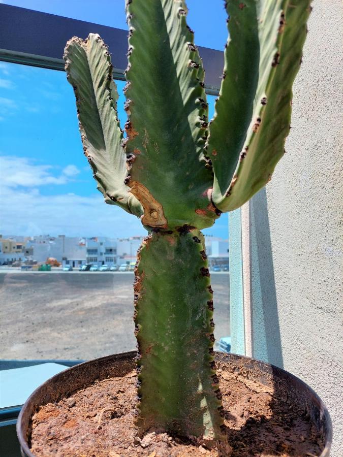 Deep Blue Cotillo III By Sea You There Fuerteventura Exteriör bild
